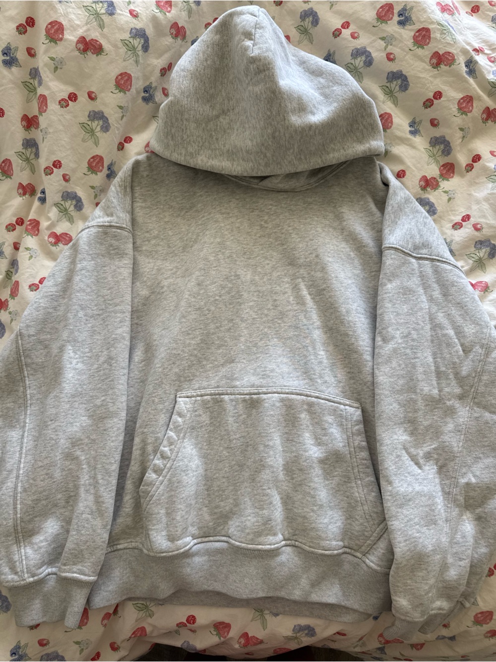 Abercrombie & Fitch Light Gray Hooded Pullover Sweatshirt